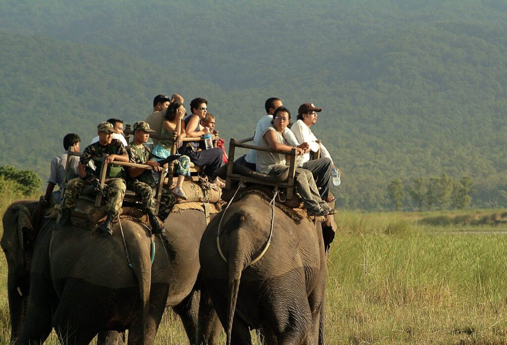 Chitwan - Cozy Dream